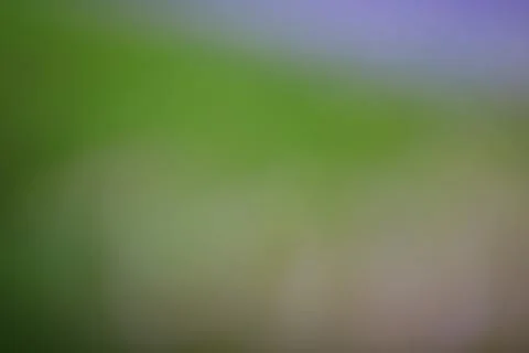 Blurred green field texture with soft gradient transition Stock Photos