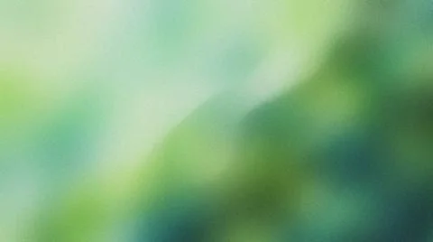 Blurred Green Forest Canopy Lighting. Stock Illustration