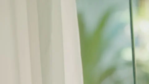 Blurred green plant outside a white window with vertical blinds indoors Video stock 328043232