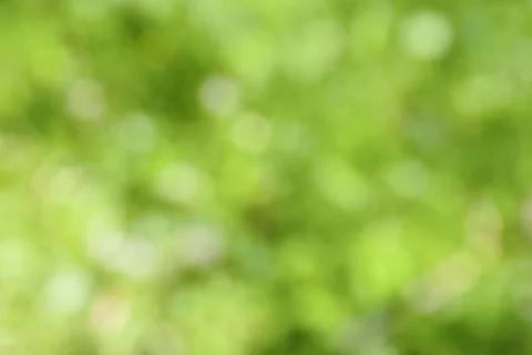 Blurred greenery background with copy space.  natural green plants landscap.. Stock Photos