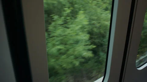 Blurred greenery seen from a moving train window. Vídeo Stock 319724538