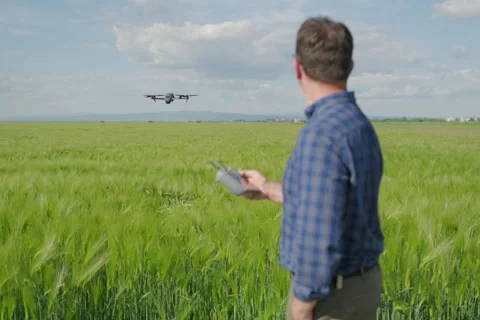 Blurred happy agronomist thumbs up hovering drone in green barley field 4x3 Stock Footage 337250441