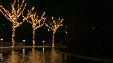 Blurred holiday background. Trees are decorated with golden lights on the Stockbeeldmateriaal 199204126