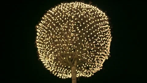 Blurred holiday background. Trees are decorated with golden lights on the Stock Footage 199204159