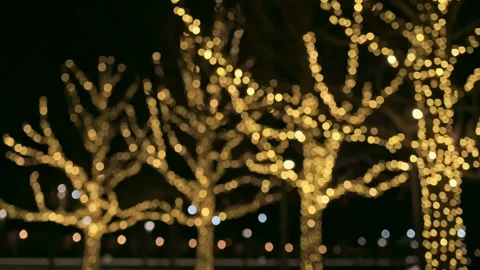 Blurred holiday background. Trees are decorated with golden lights on the Stockbeeldmateriaal 199204206