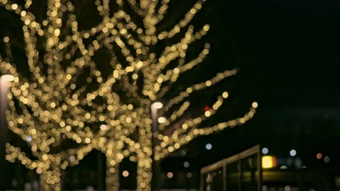 Blurred holiday background. Trees are decorated with golden lights on the Stockbeeldmateriaal 199204297