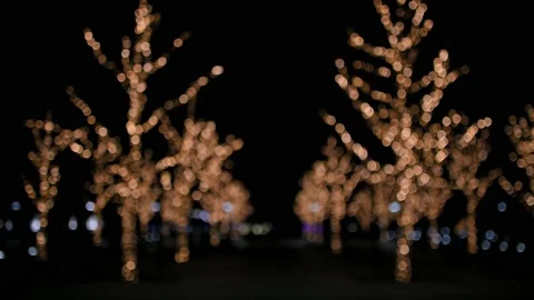 Blurred holiday background. Trees are decorated with golden lights on the Stockbeeldmateriaal 204778153