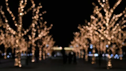 Blurred holiday background. Trees are decorated with golden lights on the Stockbeeldmateriaal 208686146