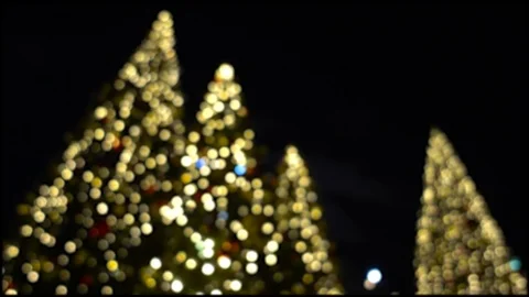 Blurred illuminated Christmas trees Video stock 88499174