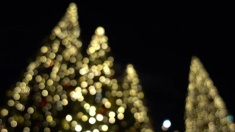 Blurred illuminated Christmas trees Video stock 88501687