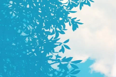 Blurred image with cloud and tree branches reflected in blue water. Stock Photos