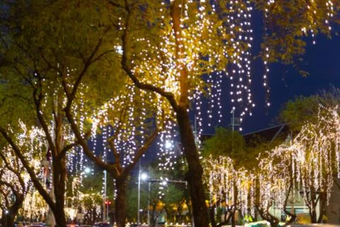 Blurred image Decorative outdoor string lights hanging on tree in the garden Stock Photos
