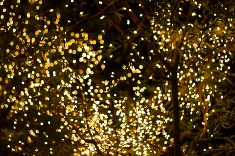 Blurred image Decorative outdoor string lights hanging on tree in the garden 스톡 사진