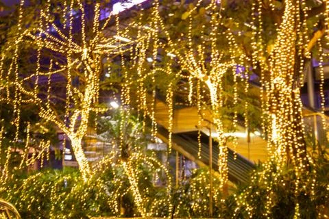 ฺBlurred image Decorative outdoor string lights hanging on tree 스톡 사진