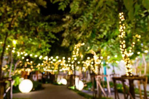 ฺBlurred image Decorative outdoor string lights hanging on tree Photos