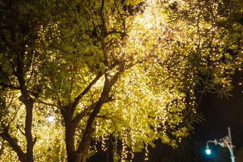 Blurred image Decorative outdoor string lights hanging on tree in the garden Stock Photos