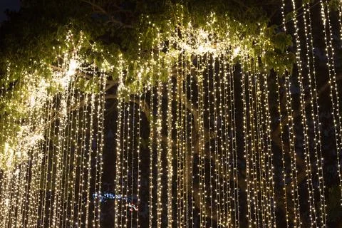 Blurred image Decorative outdoor string lights hanging on tree in the garden Stock Photos