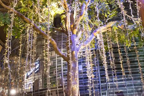 Blurred image Decorative outdoor string lights hanging on tree in the garden Photos
