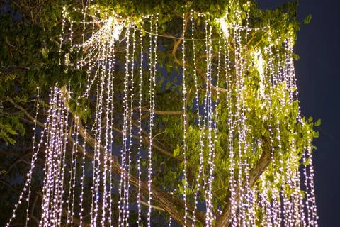 Blurred image Decorative outdoor string lights hanging on tree in the garden Foto stock