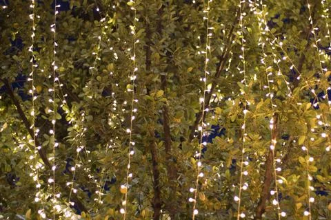 Blurred image Decorative outdoor string lights hanging Photos