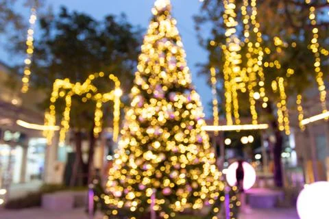 Blurred image Decorative outdoor string lights hanging on tree 스톡 사진