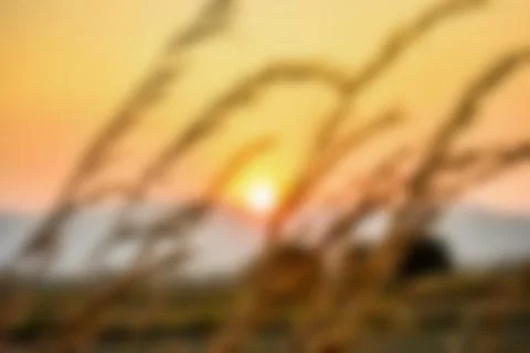 Blurred image during sunset to use as a background.. Stock Photos
