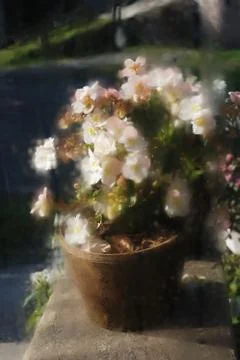 Blurred image of flowers Illustrazione stock