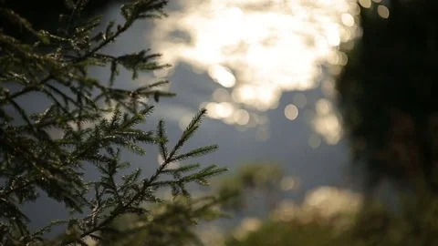 Blurred image of a flowing water running though the sunny fairytale and Stock Footage 80069759
