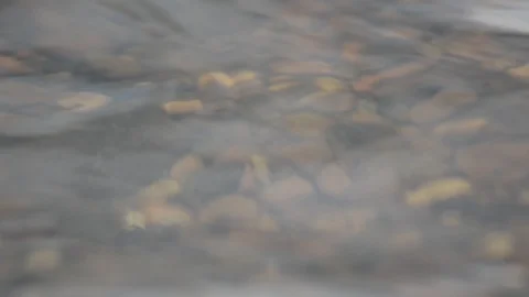 Blurred image of water waves of the river moving against the rocks Stock Footage 113323347
