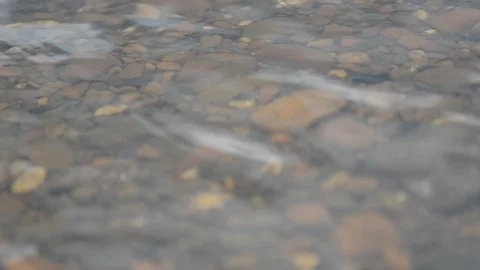 Blurred image of water waves of the river moving against the rocks Stock Footage 113323349