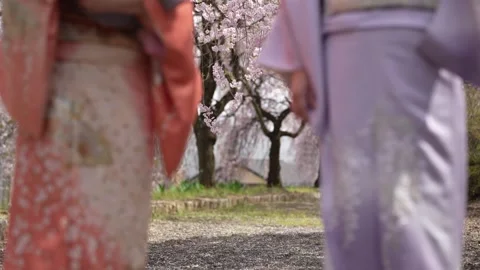 Blurred Kimono Figures Framing Cherry Blossoms Stock Footage 346219212