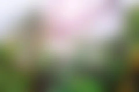 Blurred Landscape Background Stock Photos