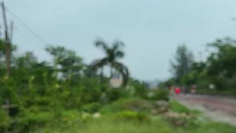 Blurred landscape with lush greenery and distant palm trees under a cloudy sk Vídeos de archivo 340052565