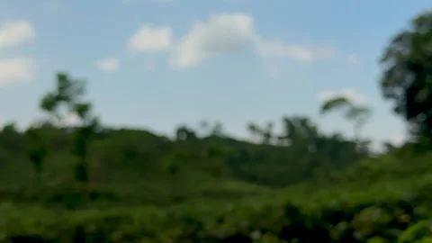 Blurred landscape with lush greenery under a bright blue sky and scattered .. Stock Footage 339296309
