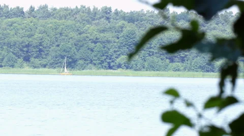 Blurred leafs on a sharp background Stockbeeldmateriaal 51867544