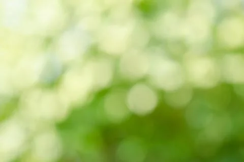 Blurred leaves Stock Photos