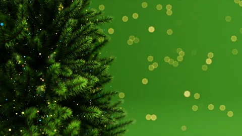 Blurred Light On Chrismas Tree Video stock 166241268