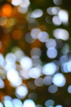 Blurred light orbs floating in a soft forest with bokeh effect Stock Photos