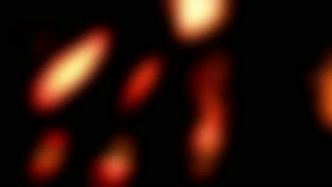 Blurred light through the leaves. Stock Footage 163247755