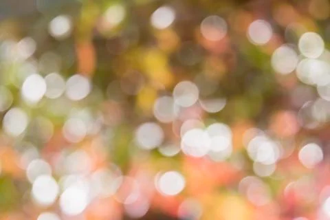 Blurred lights background from nature leaf use simple ecology concept for Stock Photos