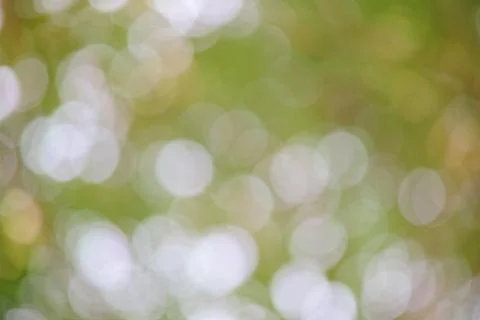 Blurred lights background from nature leaf use simple ecology concept for Foto stock