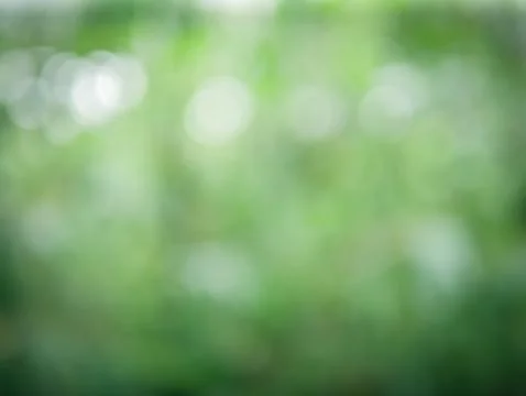 Blurred lights background from nature leaf use simple ecology concept for Stock Photos