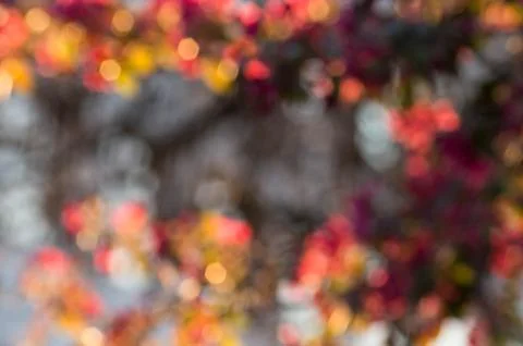 Blurred lights warm Stock Photos