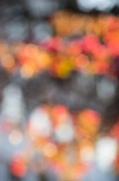 Blurred lights warm Stock Photos