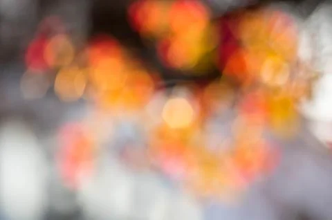Blurred lights warm Stock Photos