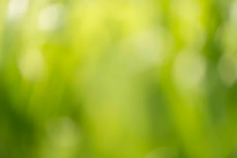 Blurred macro of grass for backgrounds Stock Photos