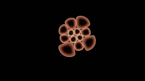 Blurred Microscopy Image Sharpens Into Resolved Detail Stock-Footage 344512512