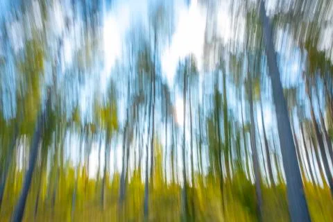 Blurred in motion background of nature Foto stock