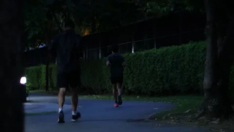 Blurred Motion Runners Jogging on Tree-Lined Stock Footage 315753337