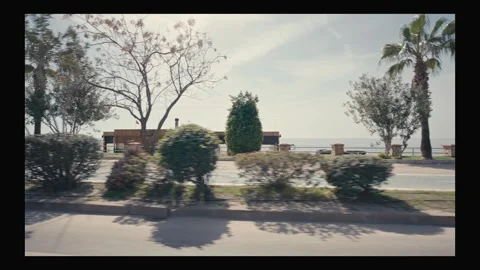 Blurred motion view of a seaside road with palm trees Stock-Footage 304685373